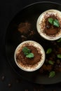 Traditional Italian dessert tiramisu decorated cocoa, coffee beans and mint leaves Royalty Free Stock Photo