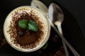 Traditional Italian dessert tiramisu decorated cocoa, coffee beans and mint leaves Royalty Free Stock Photo