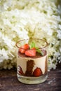 Traditional Italian dessert Tiramisu, decorated with fresh strawberries in a transparent glass Royalty Free Stock Photo