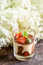 Traditional Italian dessert Tiramisu, decorated with fresh strawberries in a transparent glass Royalty Free Stock Photo