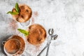 Traditional Italian dessert tiramisu in a glass jar with cocoa and mint, copyspace on a gray background Royalty Free Stock Photo