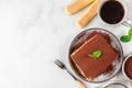 Traditional italian dessert tiramisu on plate with coffee cup and fork. Homemade tiramisu cake portion with fresh mint