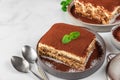 Traditional italian dessert tiramisu on plates. Homemade tiramisu cake portions with fresh mint and spoons