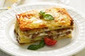 Traditional Italian lasagna made with minced beef. Side view Royalty Free Stock Photo