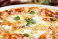 Traditional Italian Margherita pizza Royalty Free Stock Photo