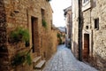 Traditional italian medieval historic alley of beautiful little