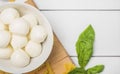 traditional italian mozzarella cheese bowl with basil leaves. High quality photo Royalty Free Stock Photo