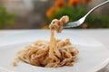 Traditional italian pasta carbonara with bacon and egg on fork Royalty Free Stock Photo