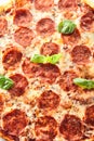 Traditional Italian Pepperoni Pizza, Isolated Fast Food Closeup Royalty Free Stock Photo