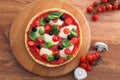 Traditional Italian pizza with tricolor