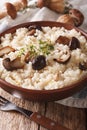 Traditional Italian risotto with wild porcini mushrooms close up