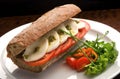 Traditional Italian sandwich with mozzarella, fresh tomatoes and pesto on a white plate Royalty Free Stock Photo