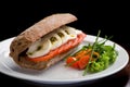 Traditional Italian sandwich with mozzarella, fresh tomatoes and pesto on a white plate Royalty Free Stock Photo