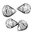 Traditional italian sweets Sfogliatelle set. Top view. Hand drawn sketch style. Puff pastry with cream inside.