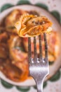 Tortellini with Tomato Sauce, Mozzarella Cheese and Basil Royalty Free Stock Photo