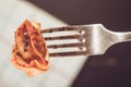 Tortellini with Tomato Sauce, Mozzarella Cheese and Basil Royalty Free Stock Photo