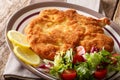 Traditional Italian veal Milanese with lemon and fresh vegetable Royalty Free Stock Photo