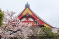 Traditional Japanese Architecture, Sensoji Temple, Asakusa; Tokyo, Japan with sakura and tree Royalty Free Stock Photo