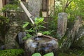 Traditional japanese bamboo purification fountain for purification at entrance of the Japanese temple. Royalty Free Stock Photo