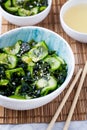 Traditional Japanese dish tasty appetizing seaweed salad served with cucumber in white bowl close-up Royalty Free Stock Photo