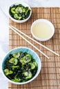 Traditional Japanese dish tasty appetizing seaweed salad served with cucumber in white bowl Royalty Free Stock Photo