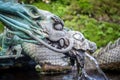 Traditional japanese dragon fountain, Nikko, Japan Royalty Free Stock Photo