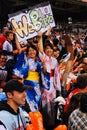 Traditional Japanese Fans