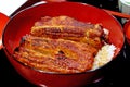 Traditional Japanese food, Unadon, unagi with boiled rice Royalty Free Stock Photo