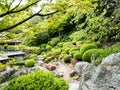 Traditional Japanese garden on the shared grounds of Kannonji and Jinnein,