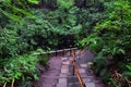 Traditional Japanese gardens in public parks in Tokyo, Japan. Views of stone lanterns, lakes, ponds, bonsai and wildlife walking a Royalty Free Stock Photo