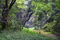 Traditional Japanese gardens in public parks in Tokyo, Japan. Views of stone lanterns, lakes, ponds, bonsai and wildlife walking a Royalty Free Stock Photo