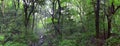 Traditional Japanese gardens in public parks in Tokyo, Japan. Views of stone lanterns, lakes, ponds, bonsai and wildlife walking a Royalty Free Stock Photo