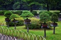 Traditional Japanese gardens in public parks in Tokyo, Japan. Views of stone lanterns, lakes, ponds, bonsai and wildlife walking a Royalty Free Stock Photo