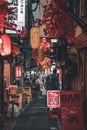 Traditional Japanese hidden micro bar street Omoide Yokocho aka the Alley in Tokyo Royalty Free Stock Photo