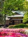 Traditional Japanese house in spring season with the in the middle of the green park with forest and flowers Royalty Free Stock Photo