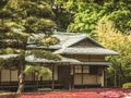 Traditional Japanese house in spring season with the in the middle of the green park with forest and flowers Royalty Free Stock Photo