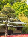 Traditional Japanese house in spring season with the in the middle of the green park with forest and flowers Royalty Free Stock Photo