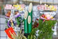 Traditional Japanese New Year decoration called kadomatsu, made from three cut bamboo branches .