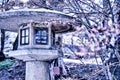 Japanese stone lantern at a shrine in early spring Royalty Free Stock Photo