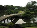 Traditional Japanese stroll garden with bridge across pond Royalty Free Stock Photo