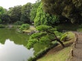 Traditional Japanese stroll garden with pond