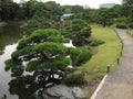 Traditional Japanese stroll garden with pond and pine trees