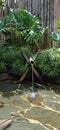 Traditional Japanese style Fountain. With bamboo material. Royalty Free Stock Photo