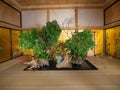 Traditional Japanese style,Interior of a traditional Japanese room