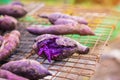 Traditional Japanese sweet potato roasted on stove