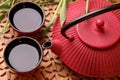 Traditional Japanese teapot Royalty Free Stock Photo