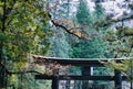 Traditional Japanese temple torii landscape at Nikko Japan