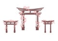 Japanese shinto torii gate decorated with spring sakura blossom branches vector design set