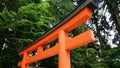 Traditional Japanese Torii Gate Lale Ashi