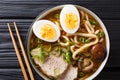Traditional Japanese udon noodle soup with pork, boiled eggs, mu